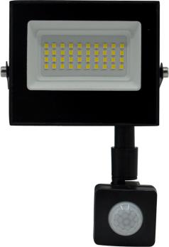Прожектор SMD Заря Power 30W с датчиком движения 6000-6500K LED