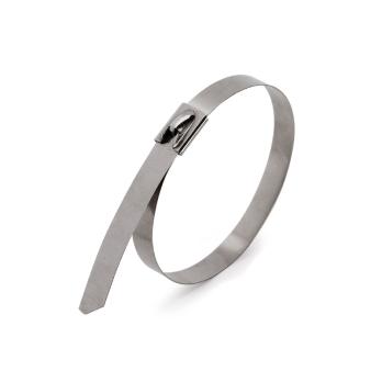 Стяжки стальные СКС 4,6*300 Fortisflex